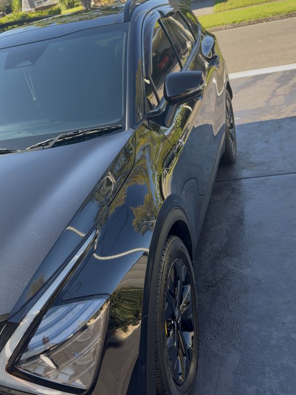 Paint Correction
